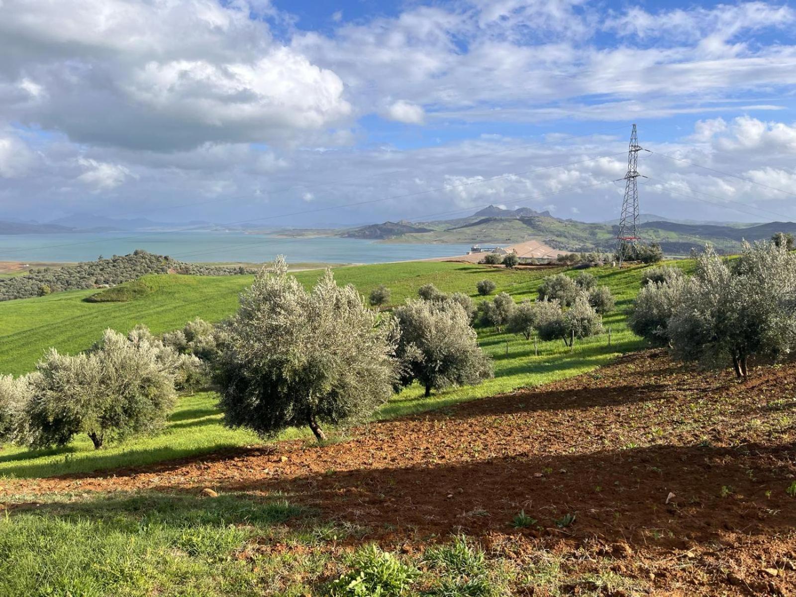 La Belle Etoile Διαμέρισμα Ouazzane Εξωτερικό φωτογραφία